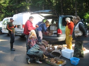 collecting mushrooms