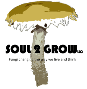 soul2grow logo