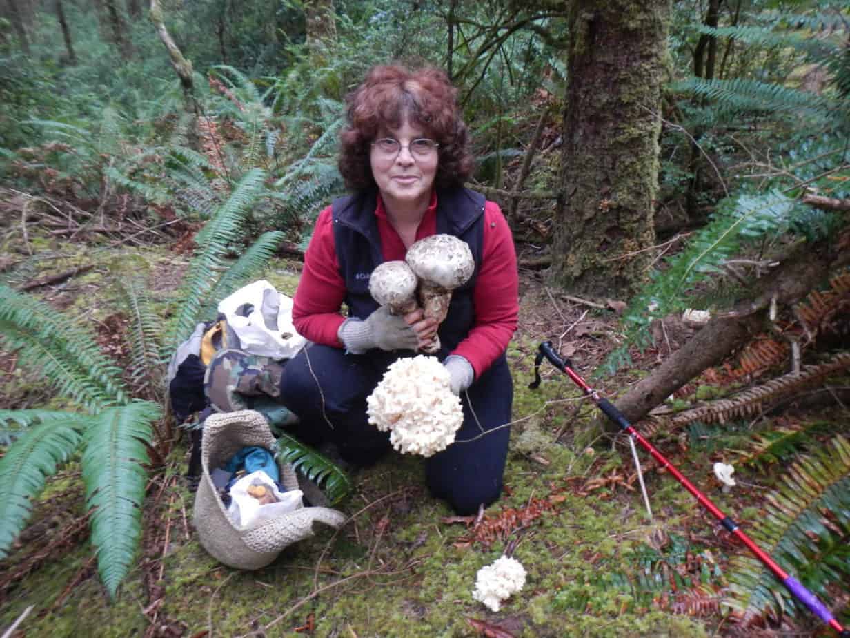Mushrooms Of The Oregon Dunes Cascade Mycological Society 8602