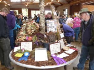 2015-mushroom-festival-skye-pic