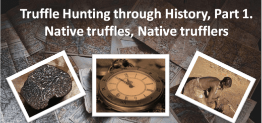 Truffle Hunting thru History