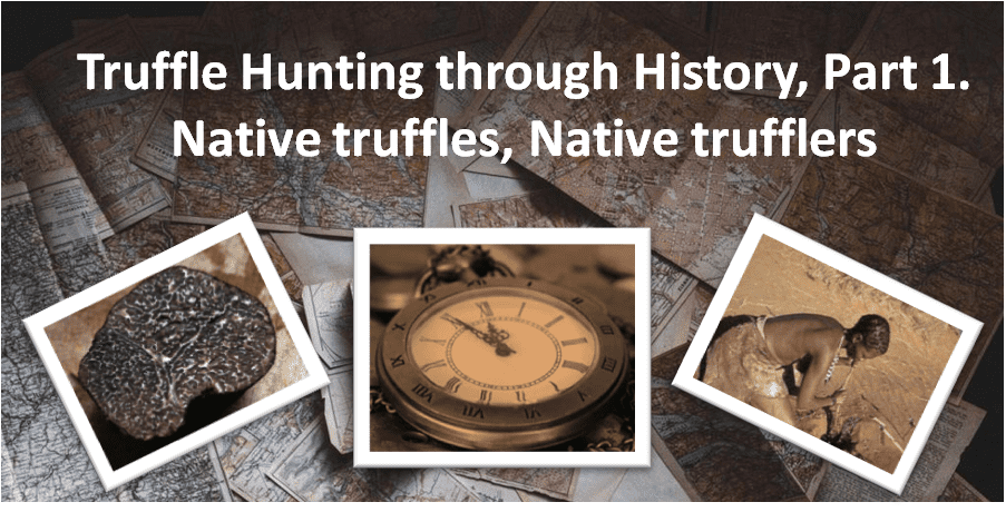 Truffle Hunting thru History