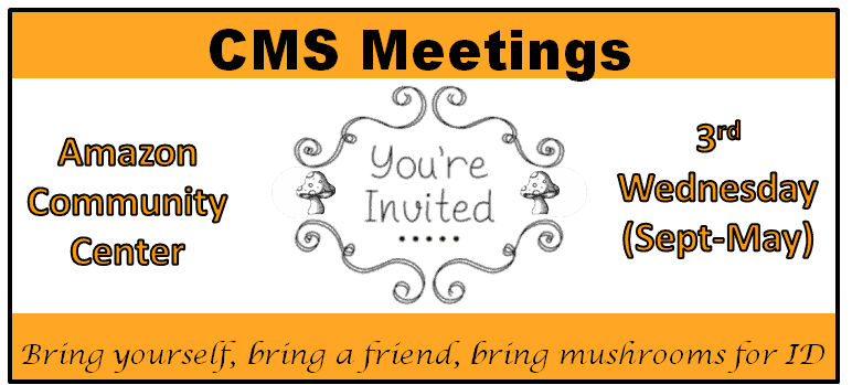 CMS Meetings