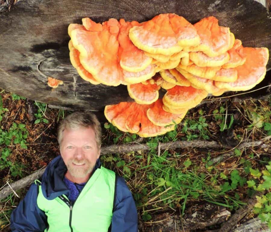 2020 Mushroom Festival Presenters Cascade Mycological Society