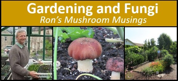 Gardening And Fungi – Cascade Mycological Society