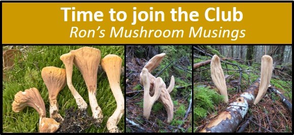 Club Mushrooms Cascade Mycological Society 0061