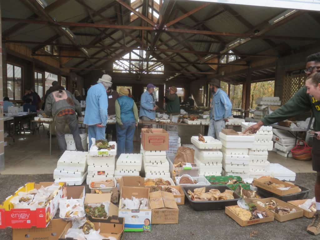 Mount Pisgah Arboretum Mushroom Festival Cascade Mycological Society