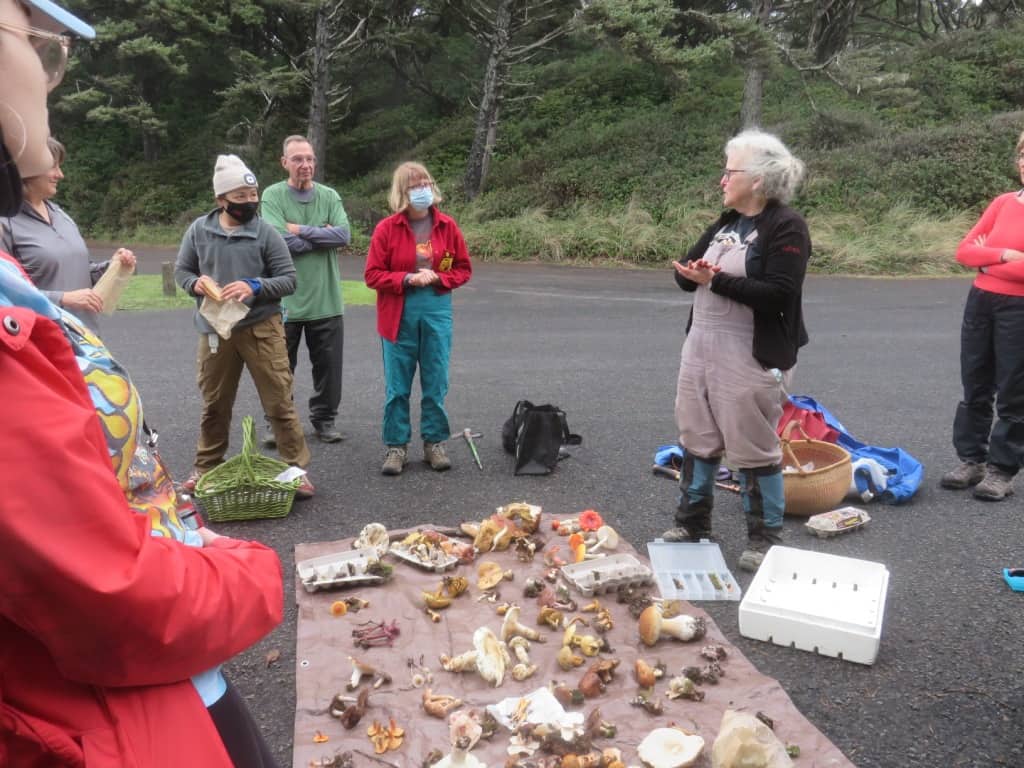 A Successful 2021 Mpa Mushroom Festival Cascade Mycological Society