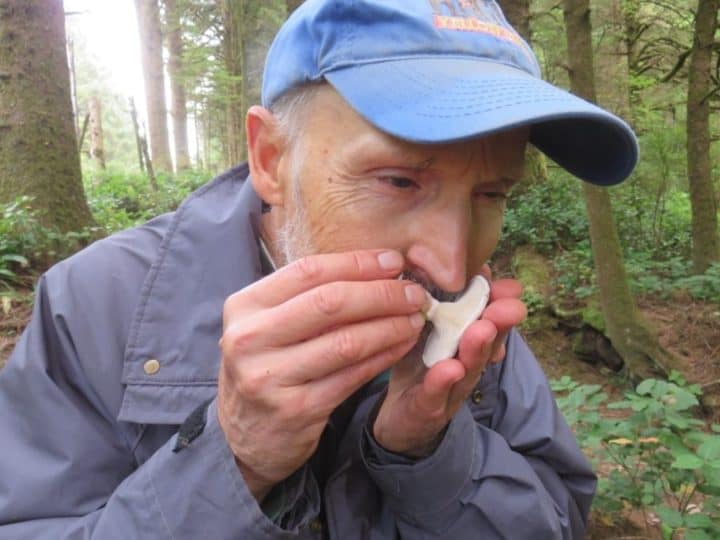 What is that odor? Cascade Mycological Society