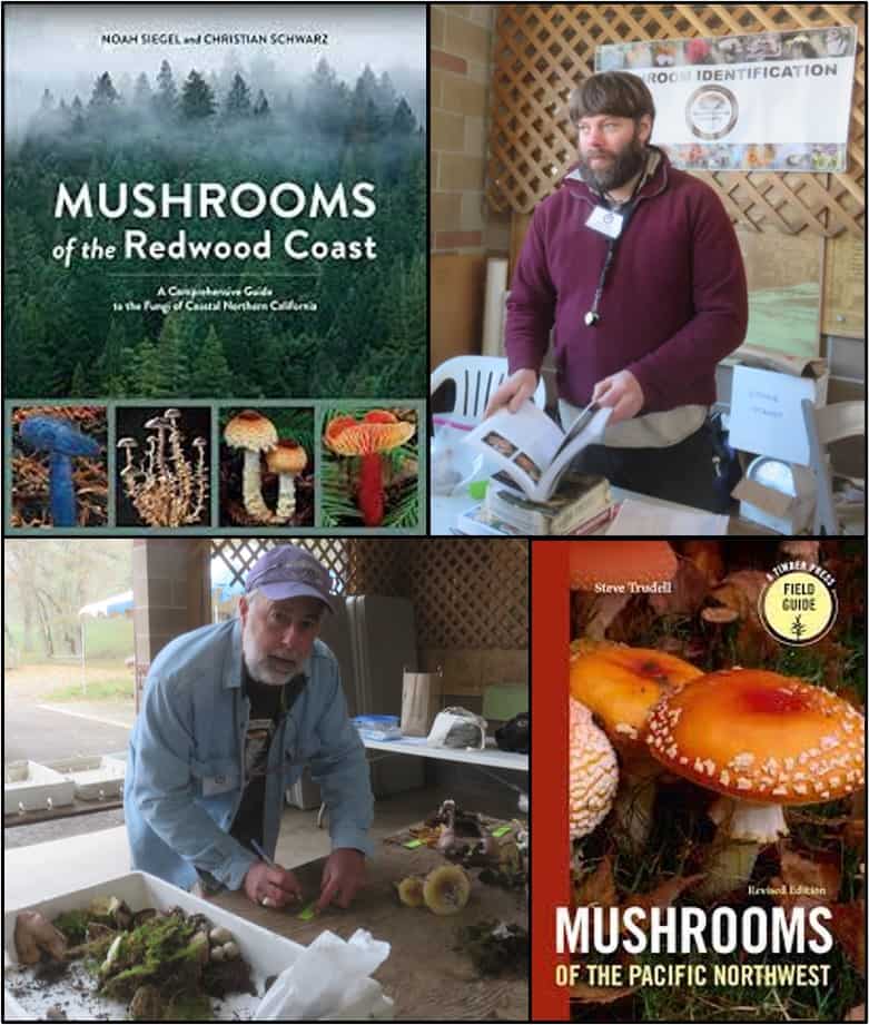 Current Year Mpa Mushroom Festival Cascade Mycological Society