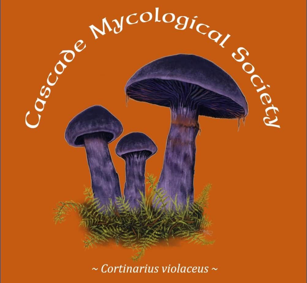 Current Year Mpa Mushroom Festival Cascade Mycological Society 5897