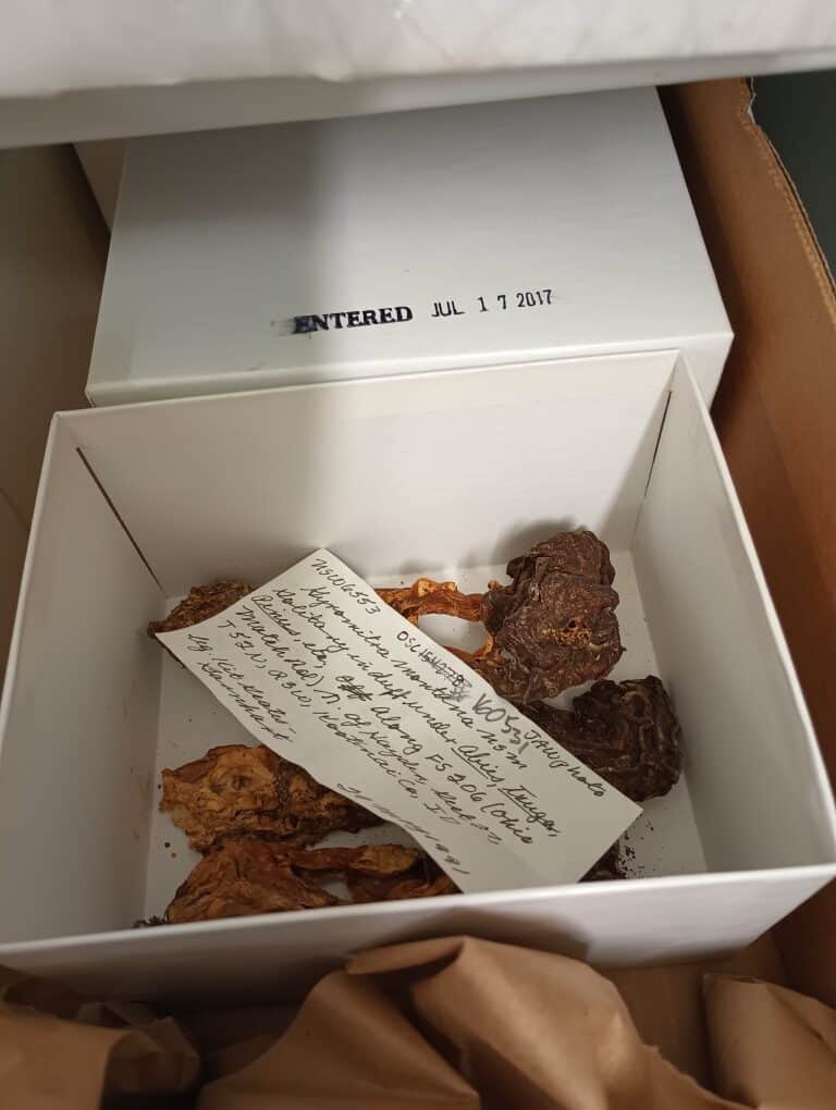 A look inside a specimen box
